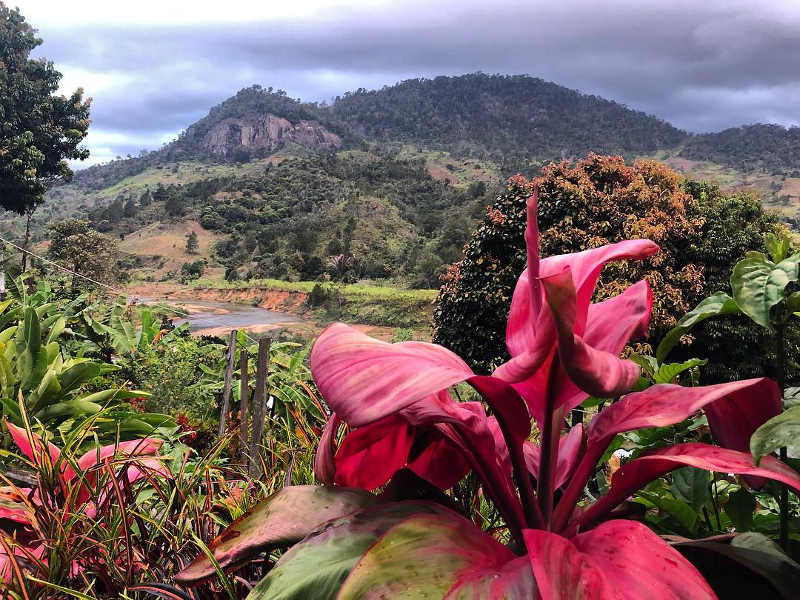 Madagascar Nature