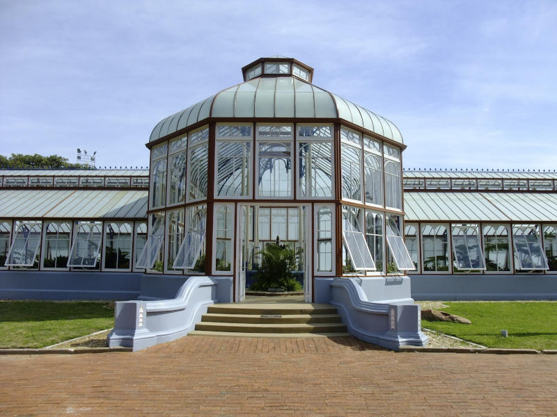 st-georges-park-conservatory-things-to-do-in-port-elizabeth-updated