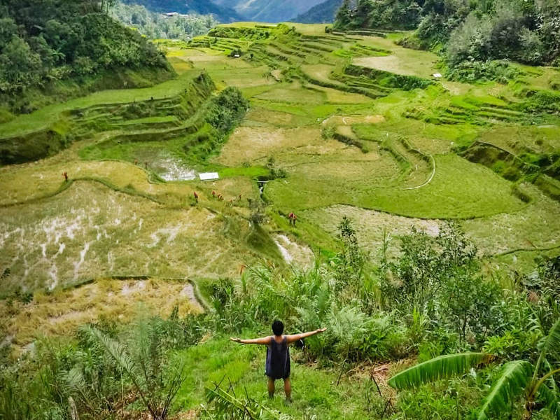 visit-philippines-rice-paddy