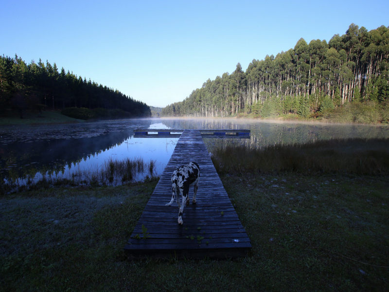 What to do in Magoebaskloof 