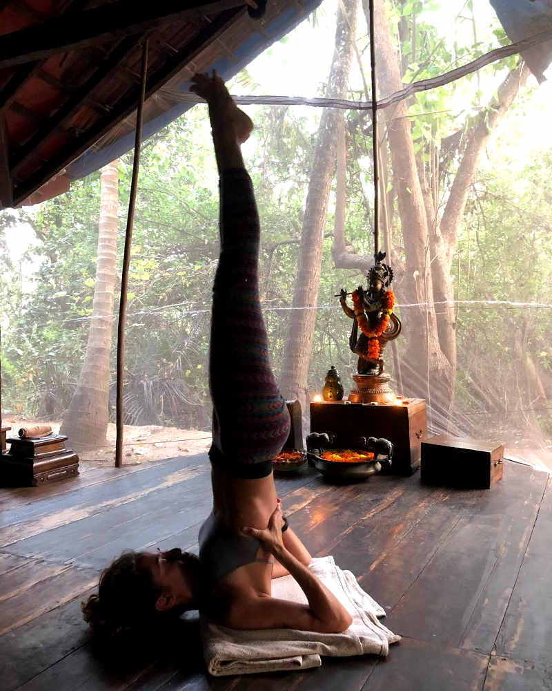 ashiyana yoga retreat india