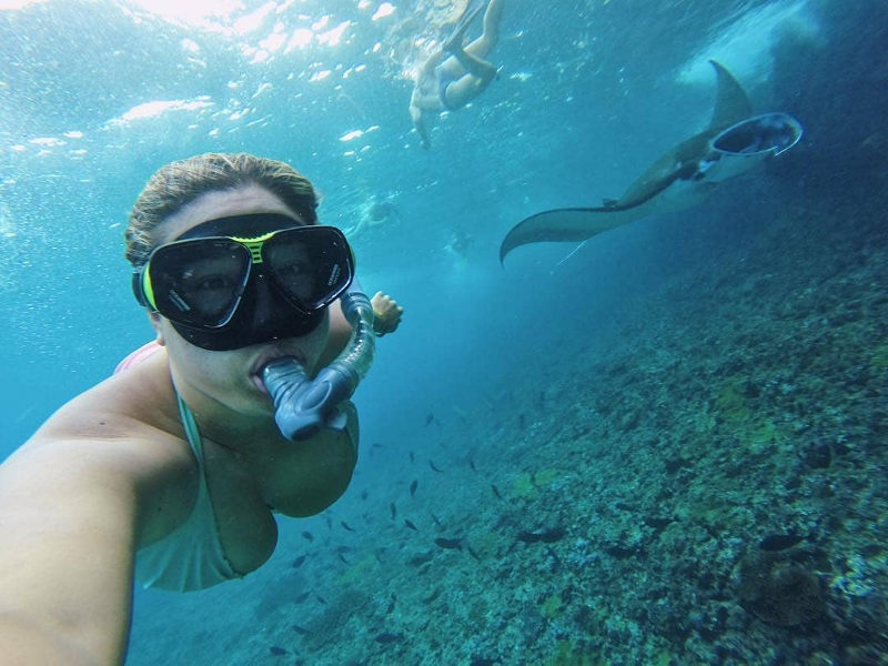 snorkel with mantas