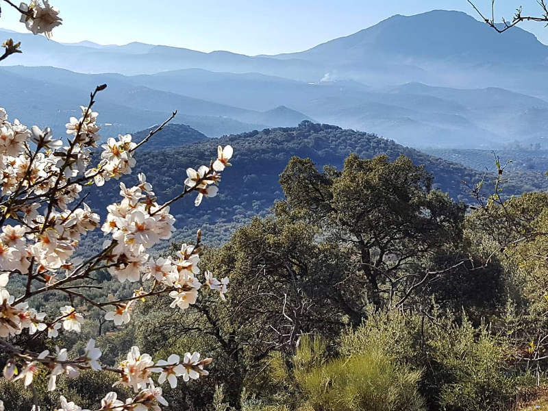 visit-spain-spring-valleys