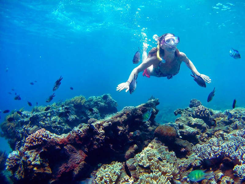 wreck snorkel bali