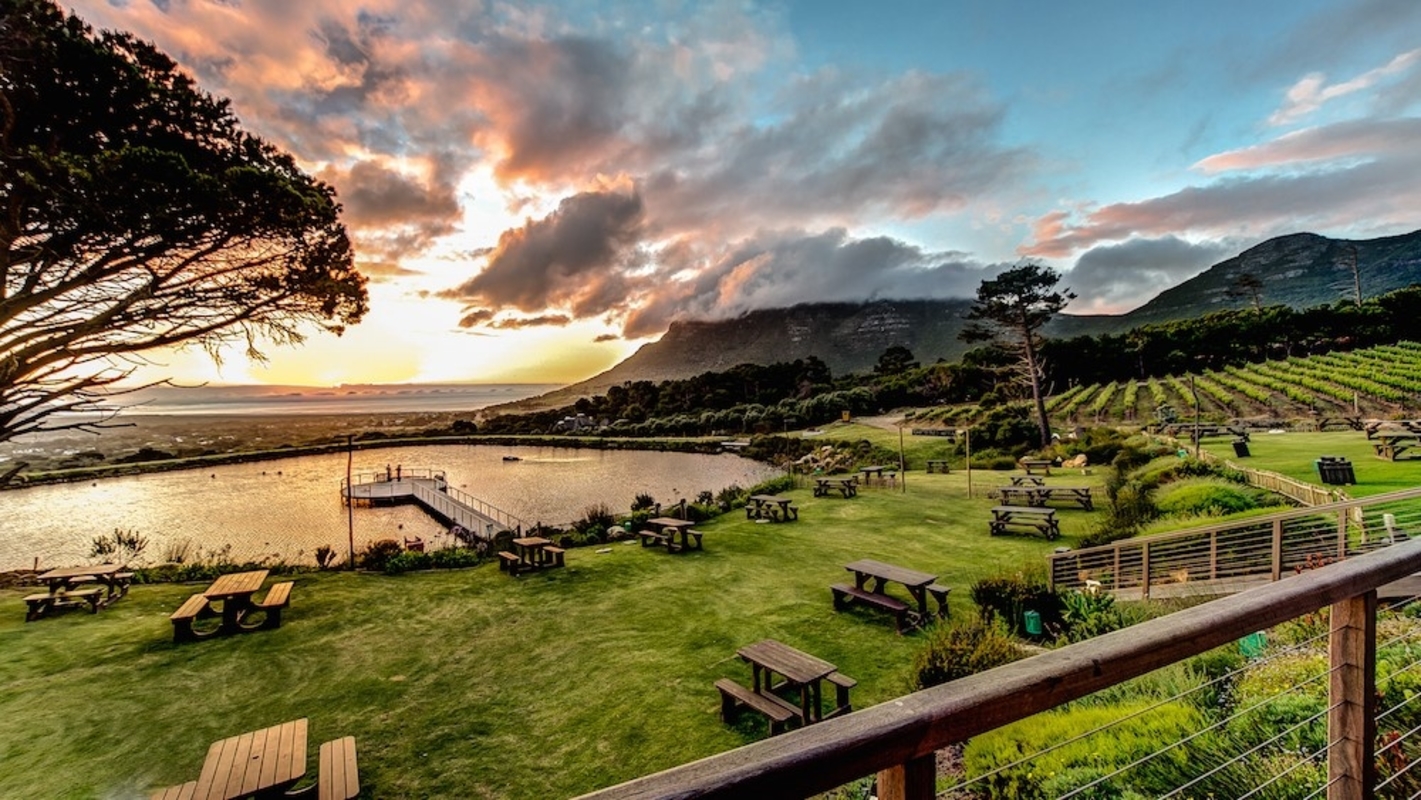 winelandsweddingcapepointvineyards