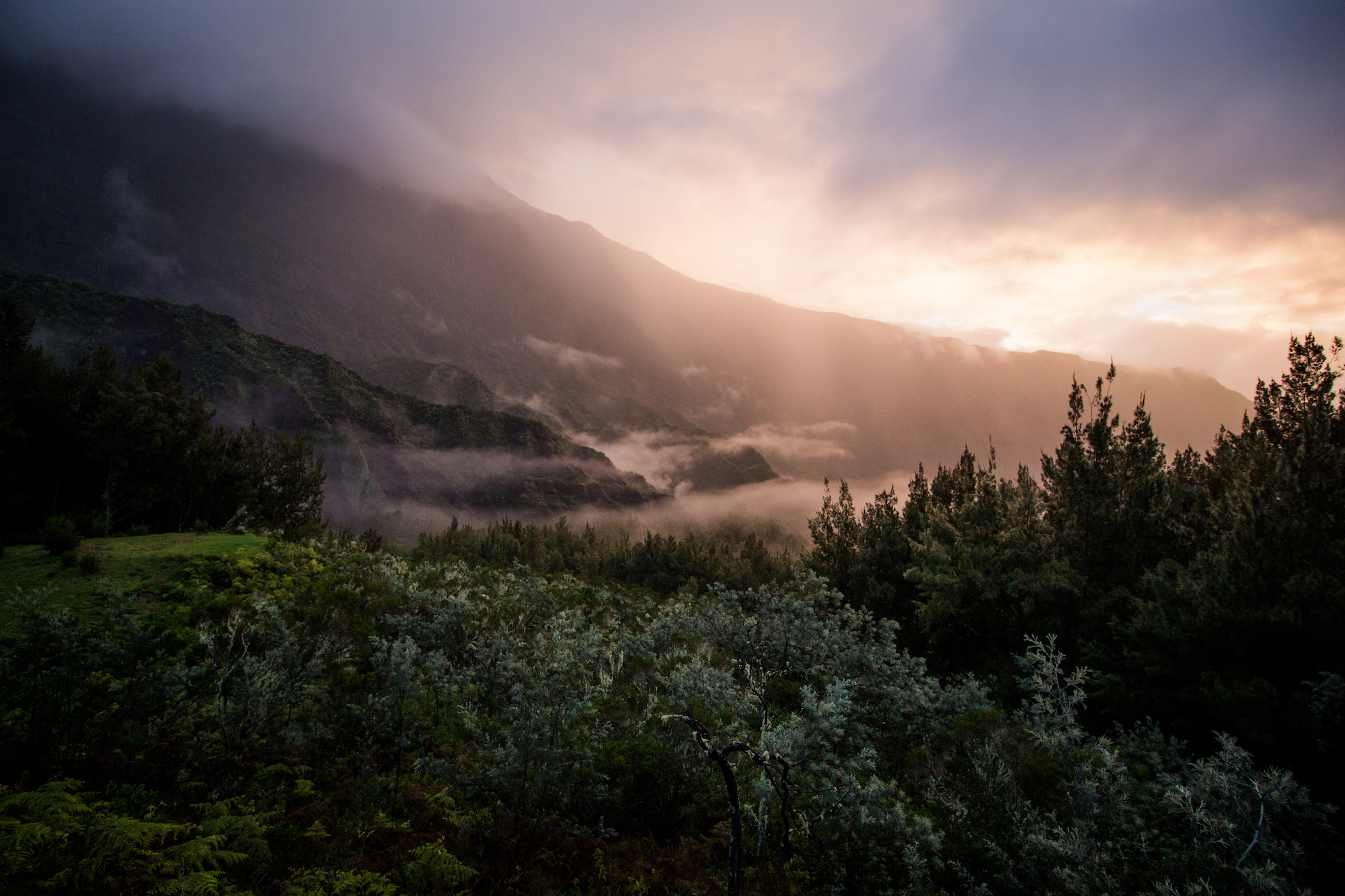 Réunion island