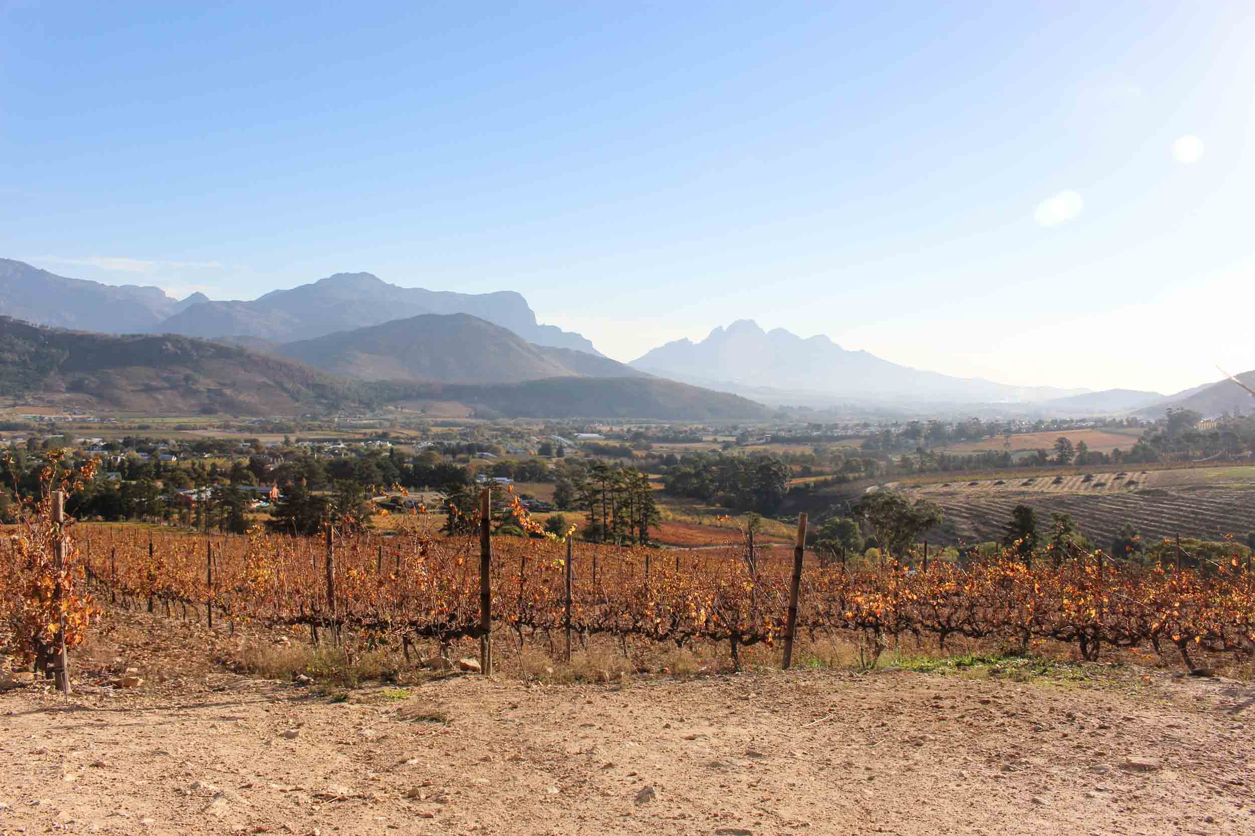 The Franschhoek Wine Tram