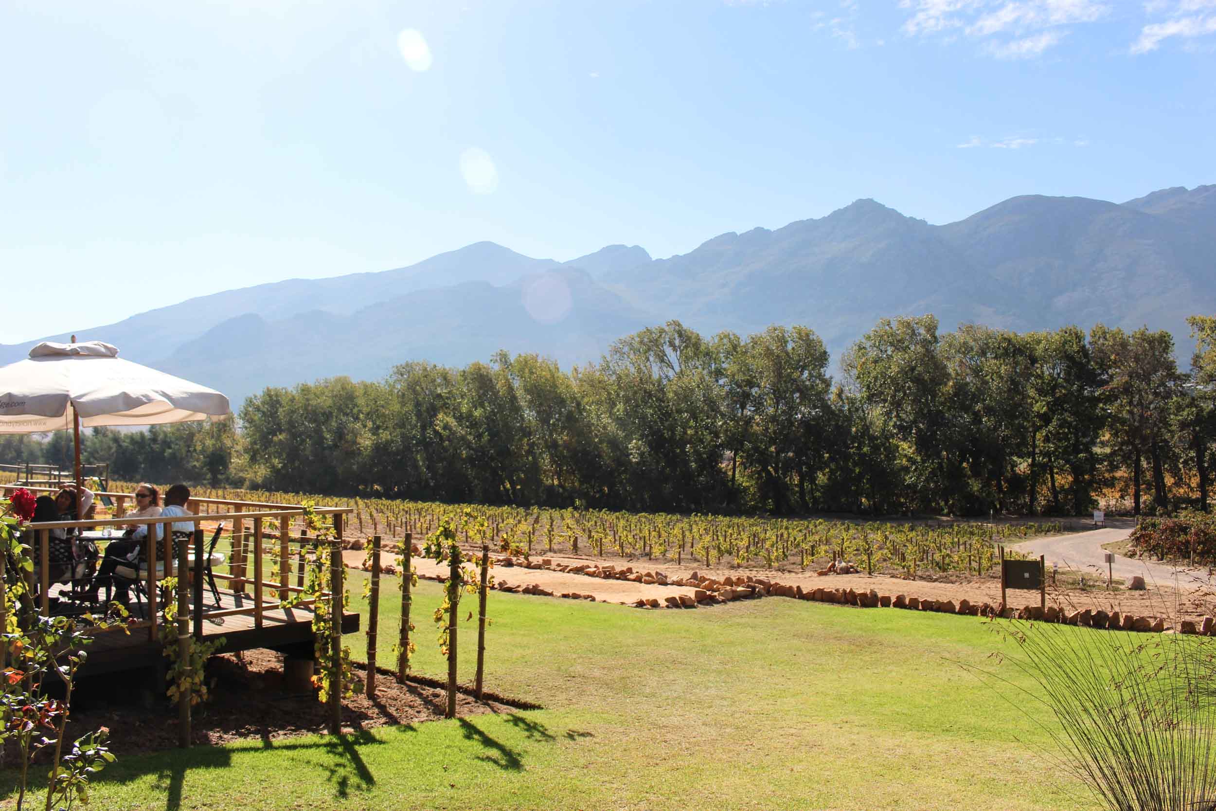 The Franschhoek Wine Tram