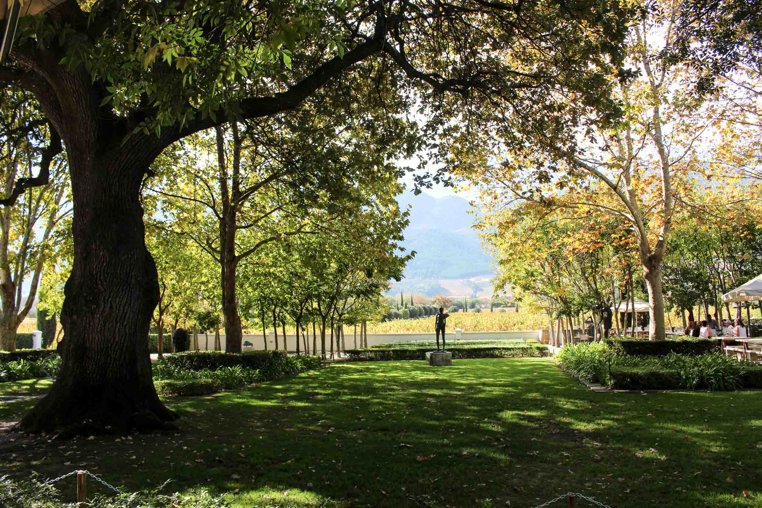 The Franschhoek Wine Tram