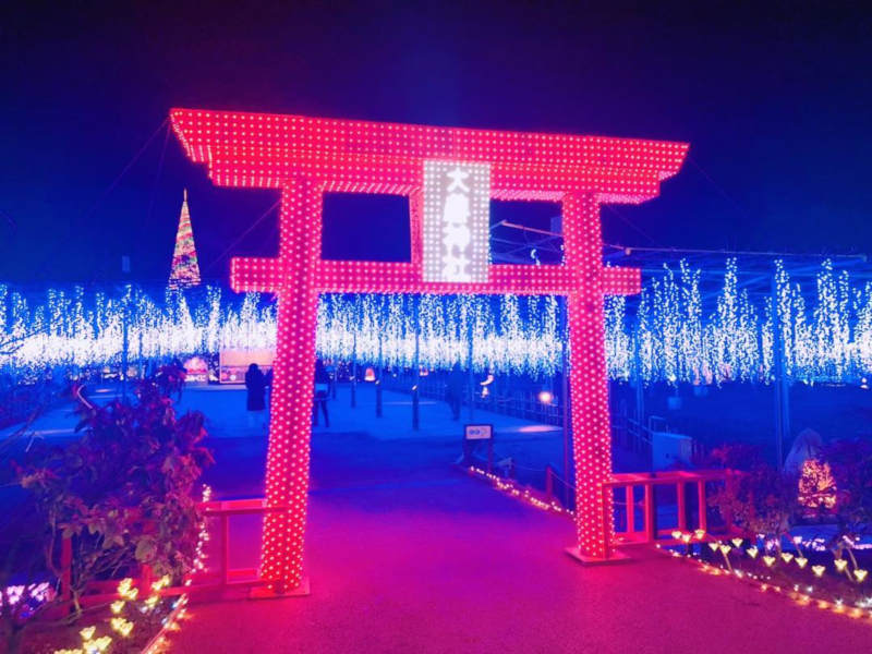 ashikaga flower park