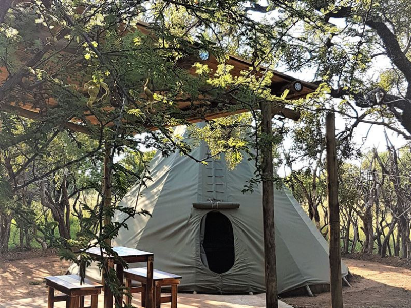 safari accommodation