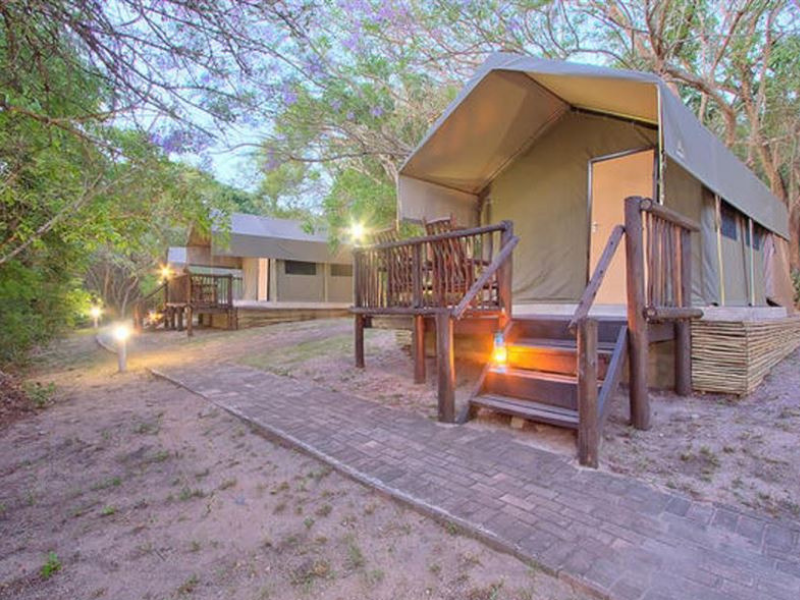 safari accommodation