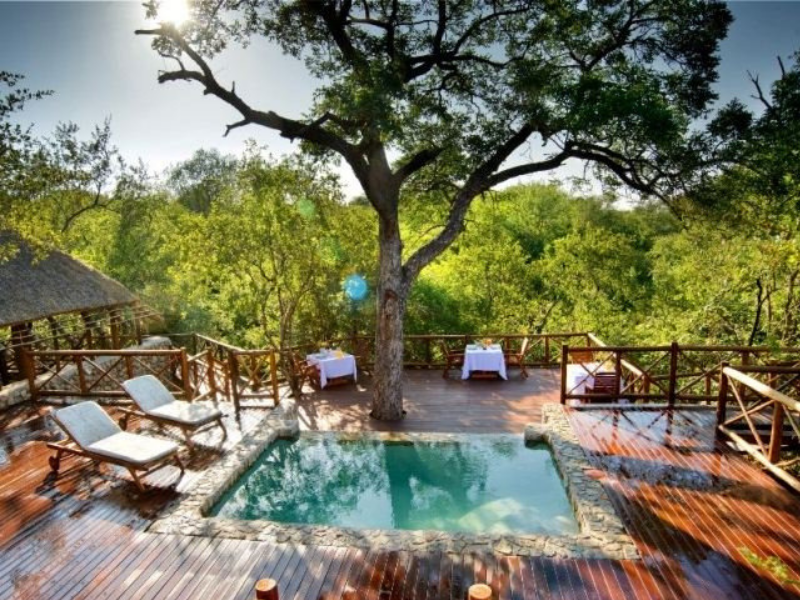 safari accommodation