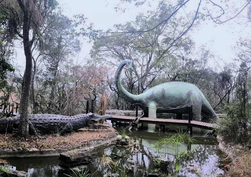 Sudwala Dinosaur Park things to do in Nelspruit new