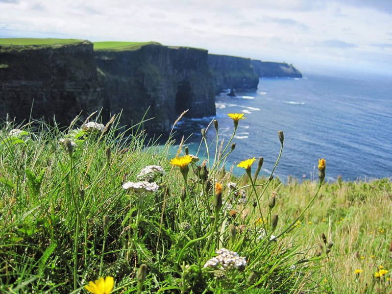 visit-ireland-summer-flowers