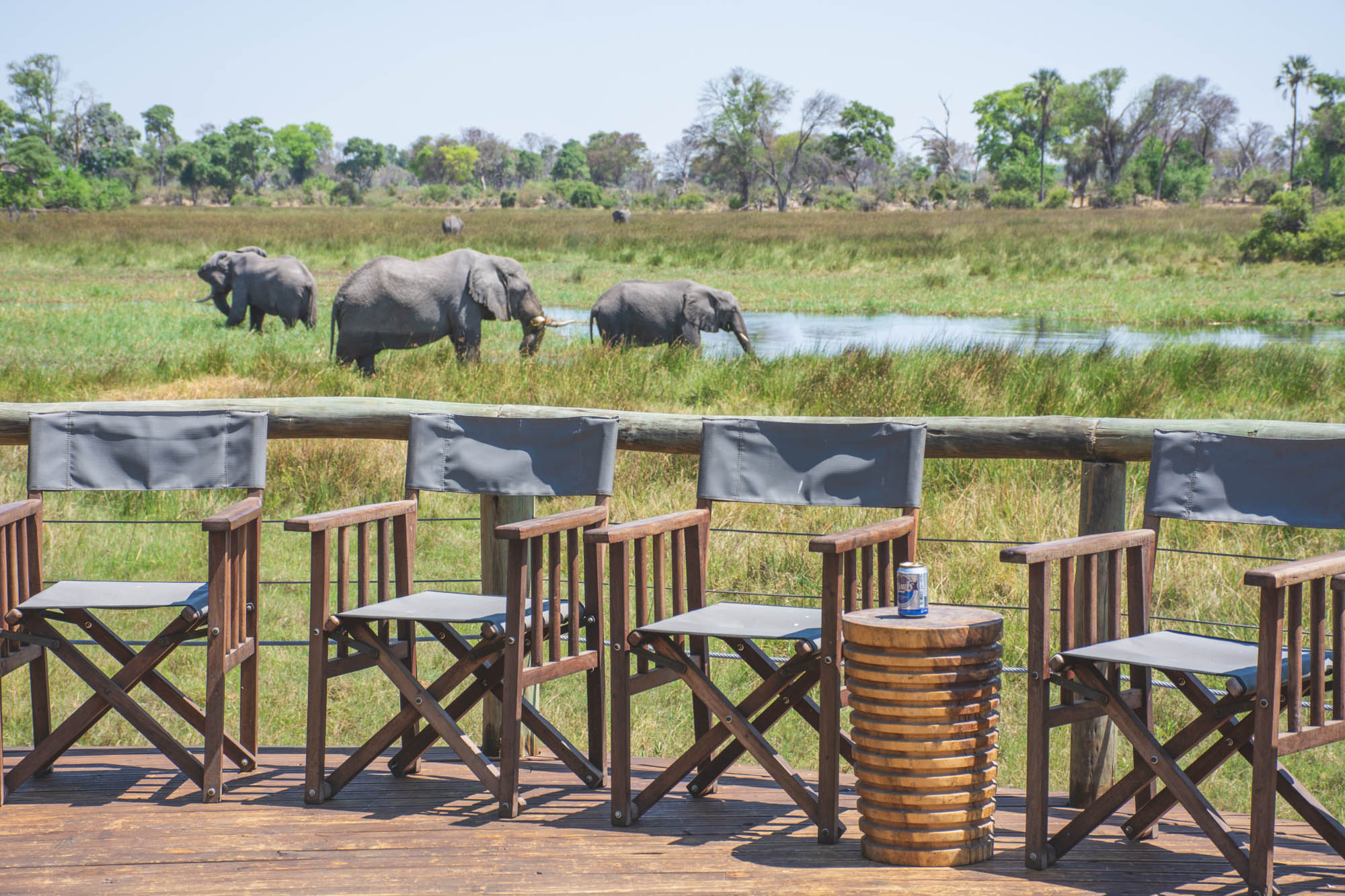 Budget Okavango Delta