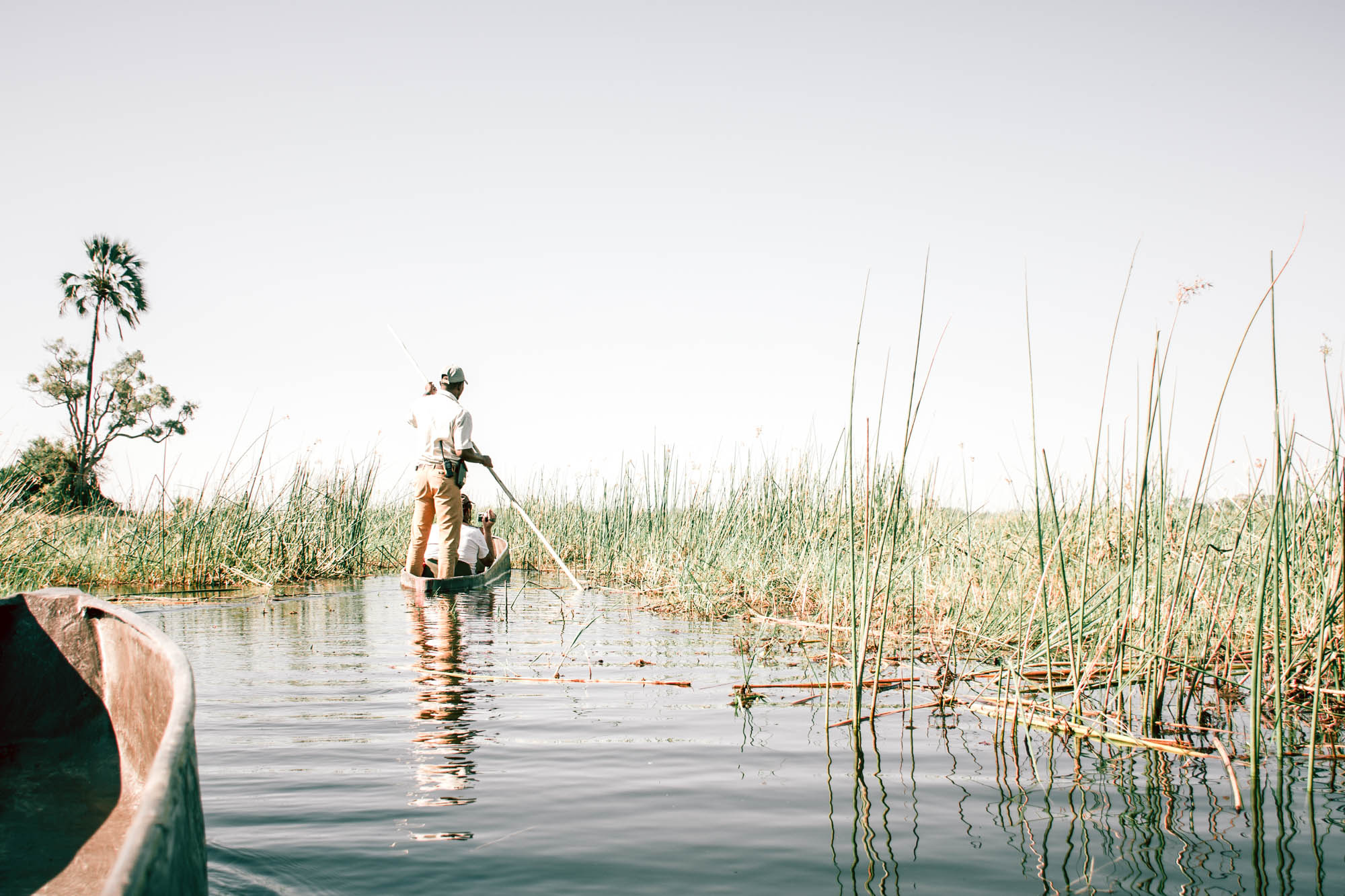 Mokoro Okavango Delta