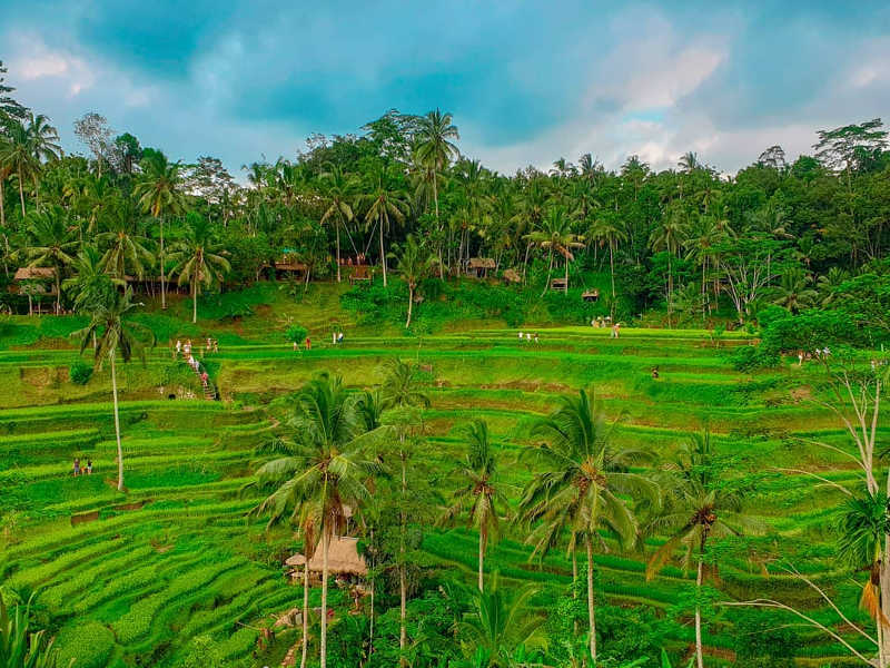 Things to do in Bali