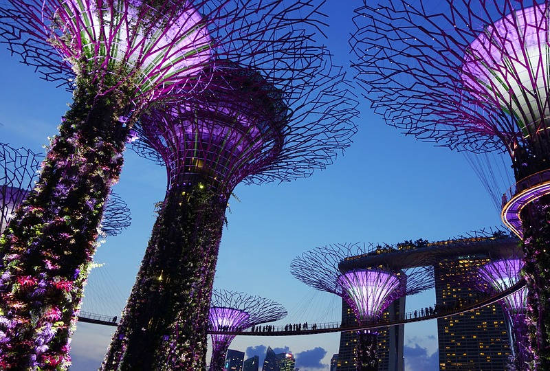 Garden by the Bay