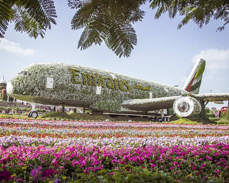 The Dubai Miracle Garden