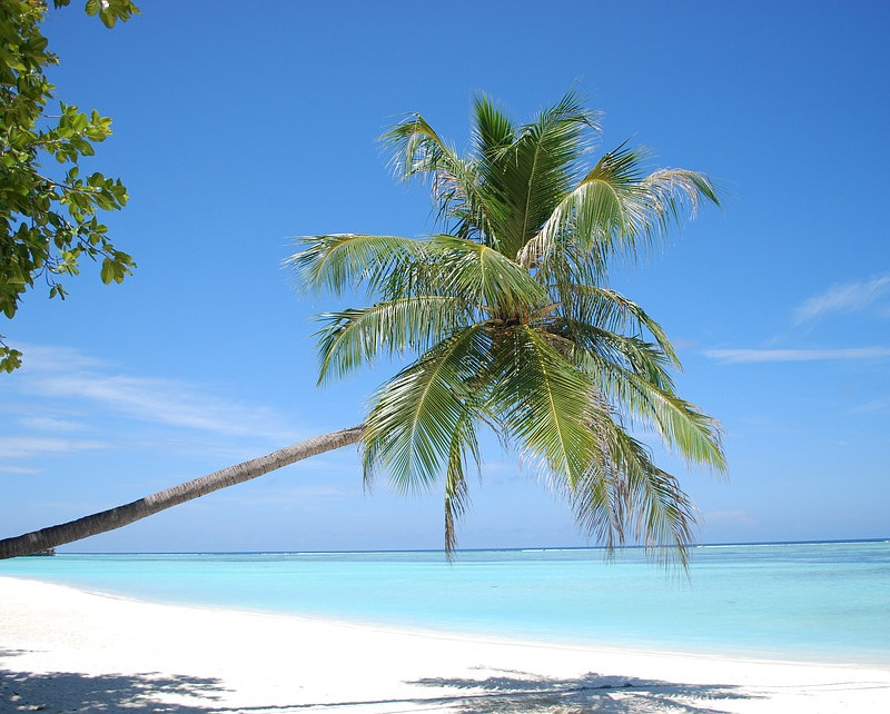 Idyllic Maldives surf spots