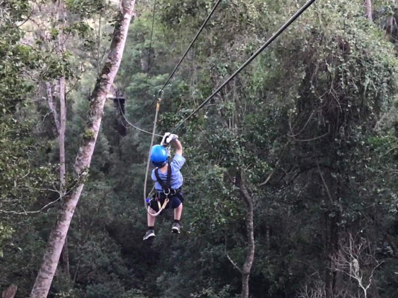 Canopy Tours in Tsitsikamma explore Garden Route