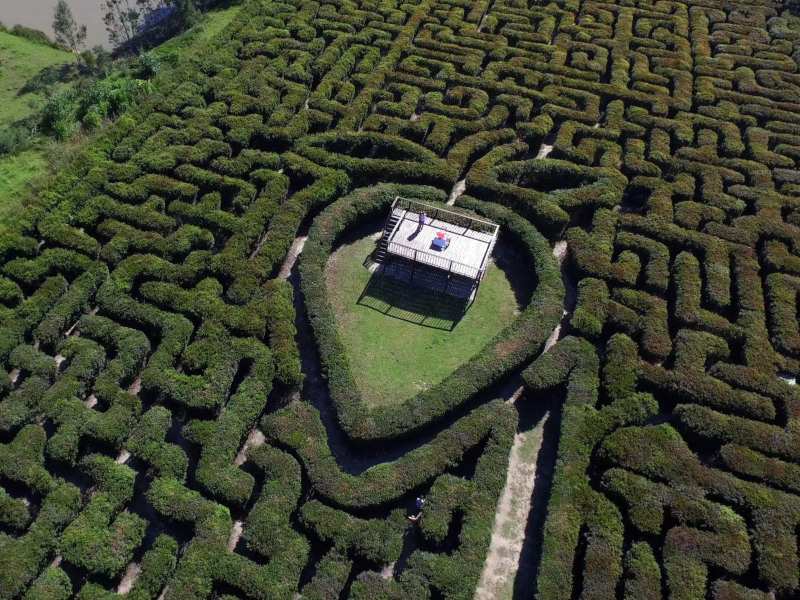 the maze at redberry farm explore garden route