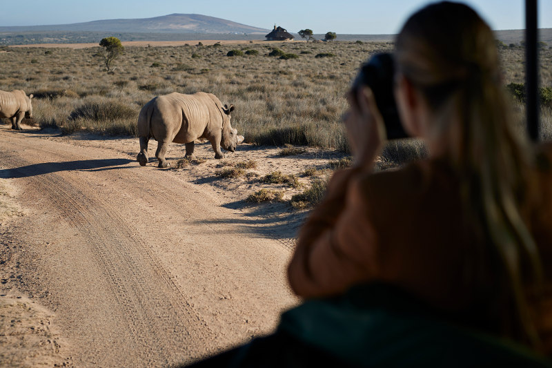 wilderness-safari-holidays