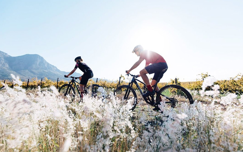 Franschhoek-Bike-Rides