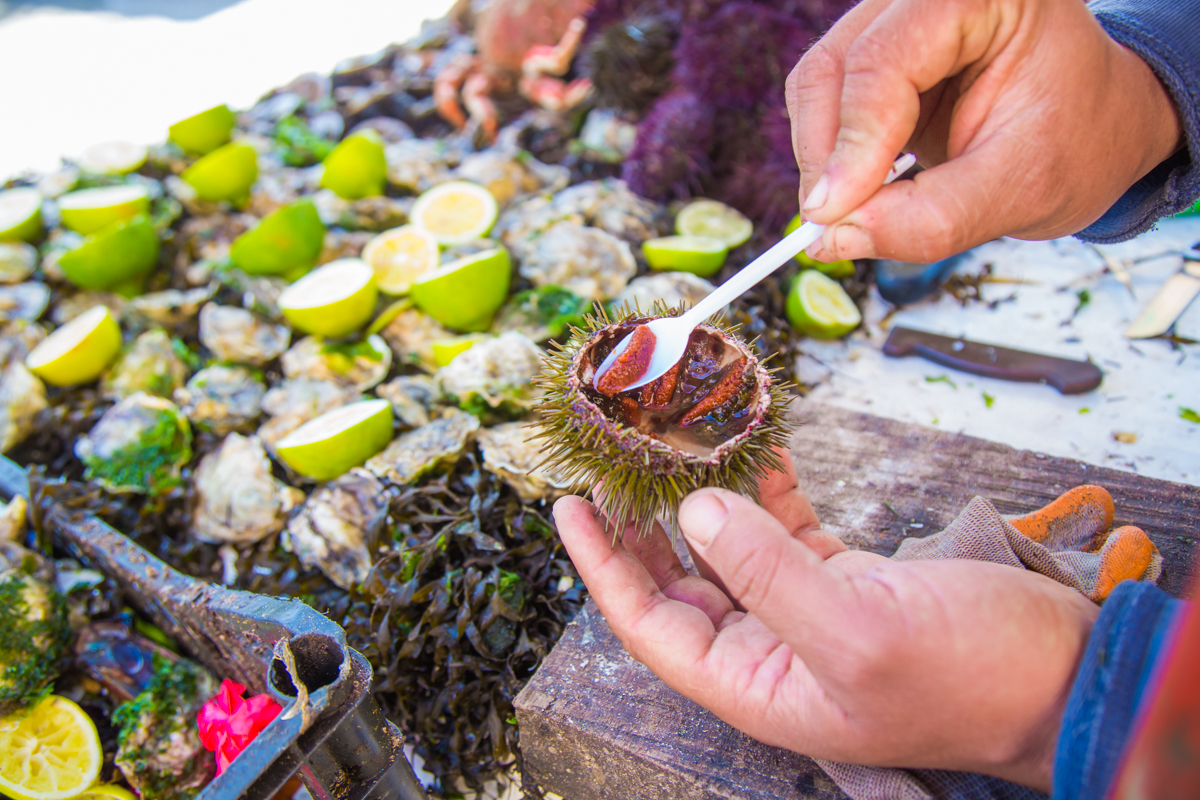 Essaouria, Morocco's Boho Chic beach town