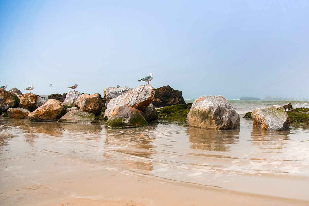 Essaouria, Morocco's Boho Chic beach town