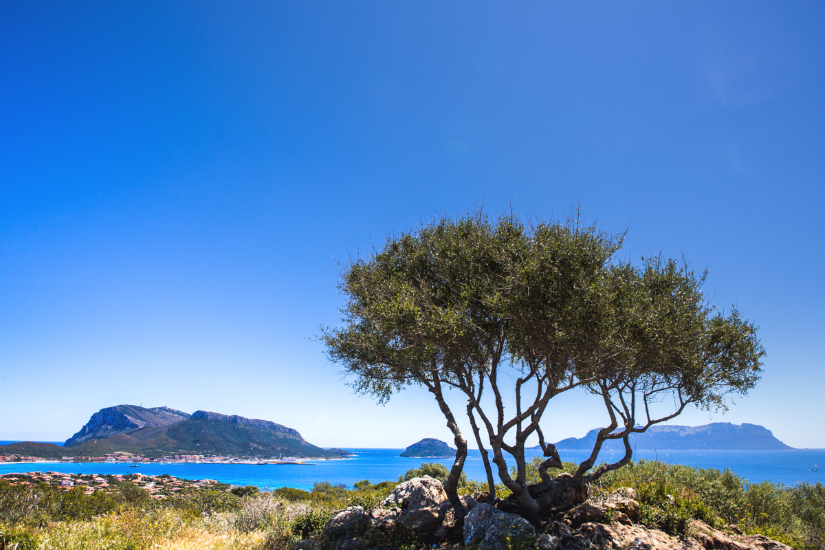 Sardinia, The Maldives of Italy 