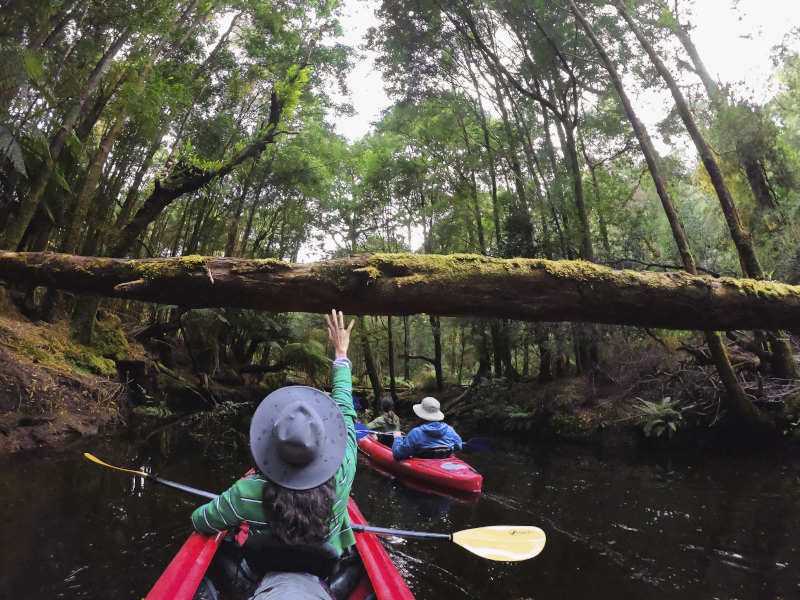 Tasmania Spring Campaign Shoot3 GoPro