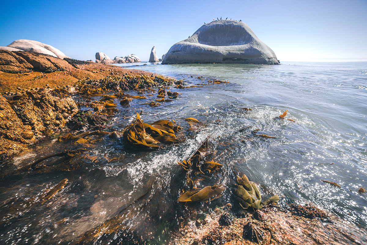 Cape Columbine and Paternoster, South Africa