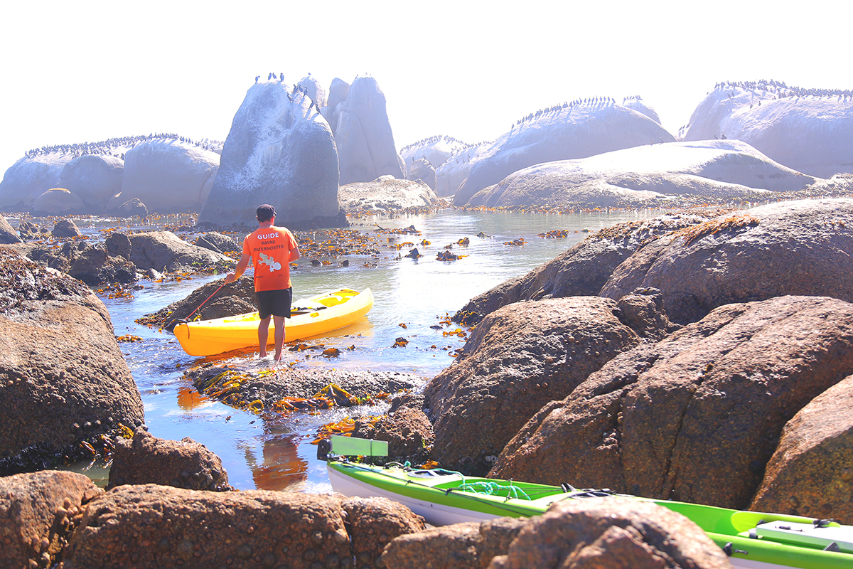 Cape Columbine and Paternoster, South Africa