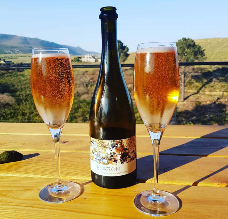 creation wines things to do in hermanus