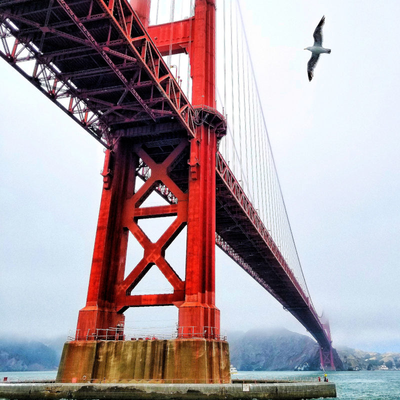 The Golden Gate Bridge