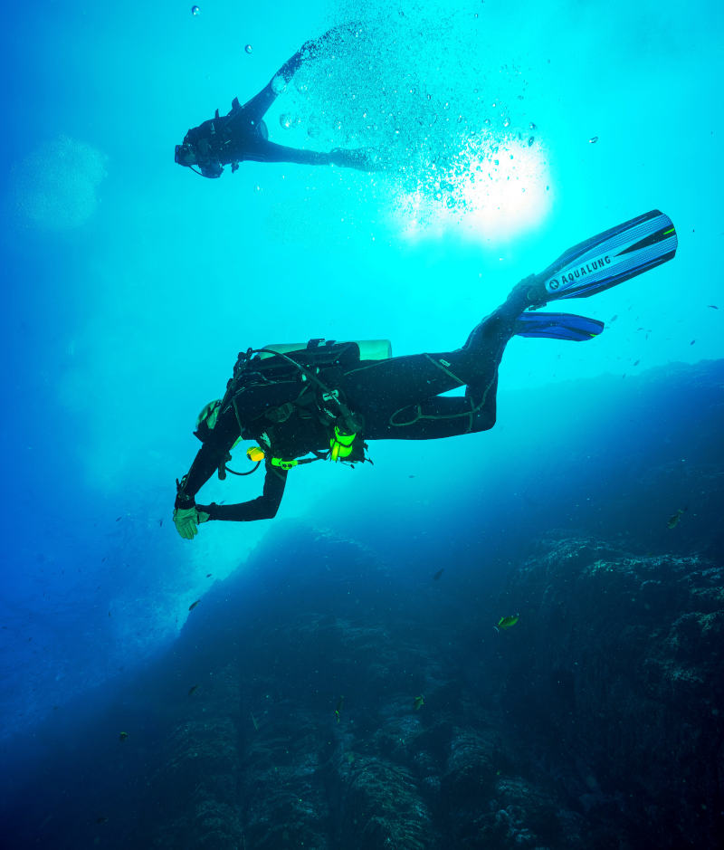 a pair of divers