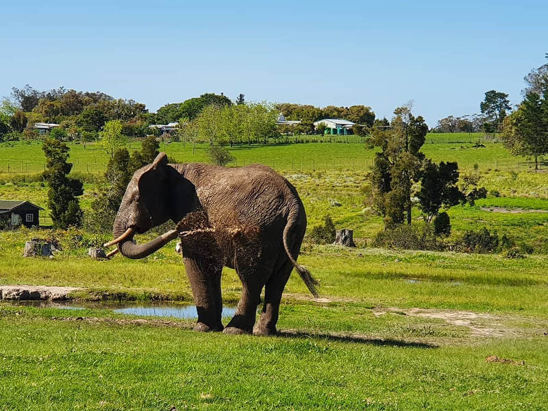 visit knysna