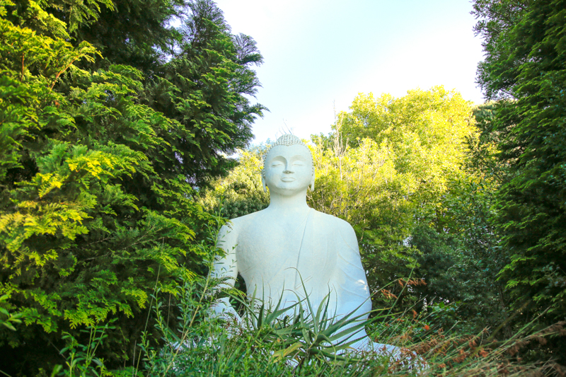 South Africa's own Buddhist Retreat Centre