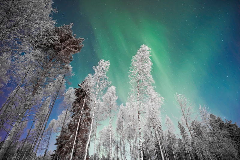 The Finnish Lapland, Santa Clause Village, Northern Lights and the Arctic Circle