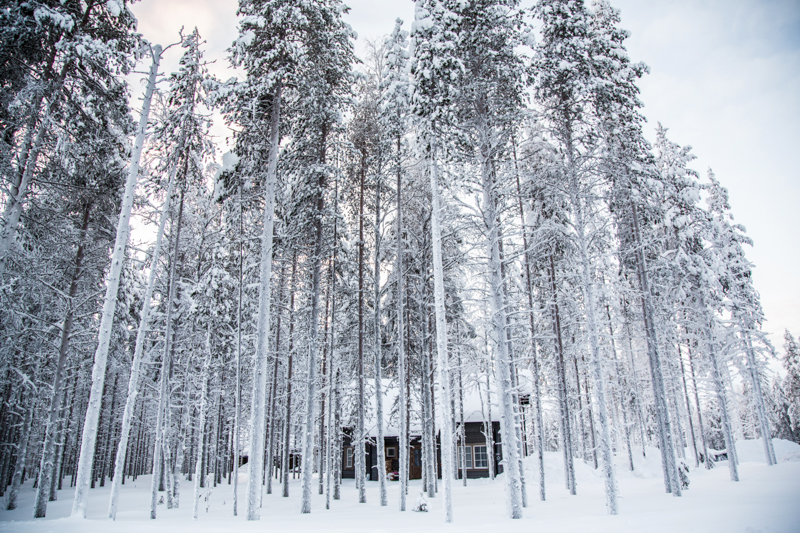 The Finnish Lapland, Santa Clause Village, Northern Lights and the Arctic Circle