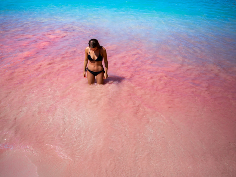 7 most striking pink beaches in the world