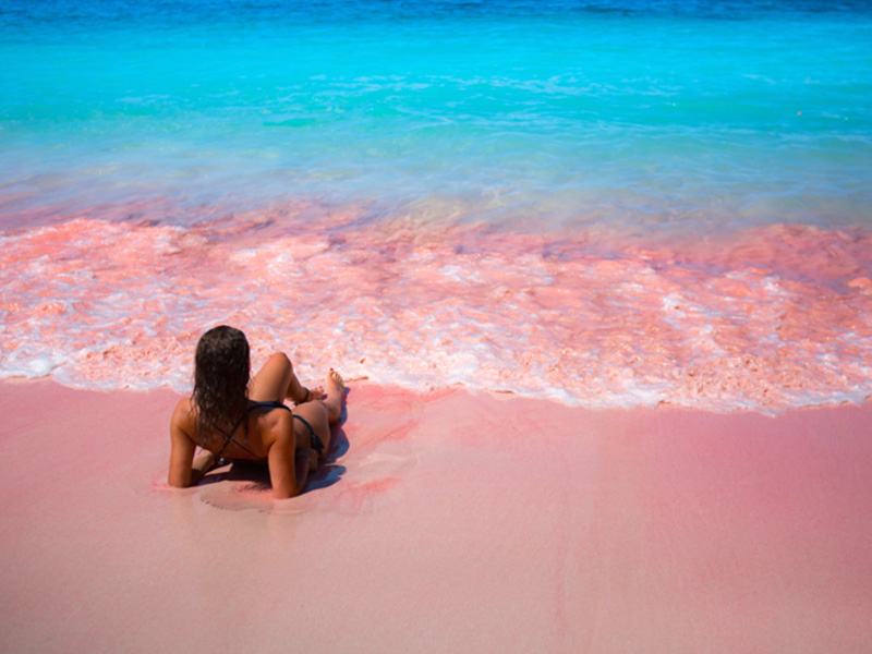 7 most striking pink beaches in the world