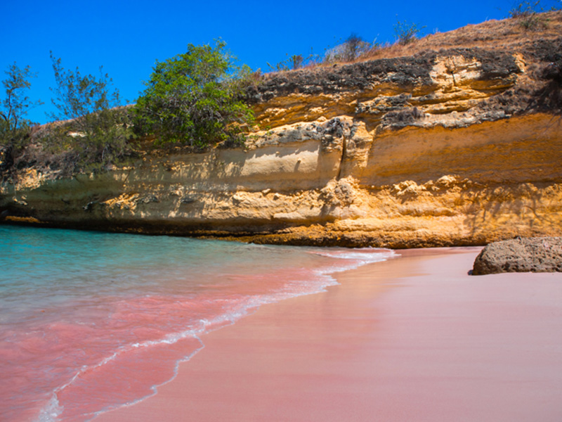 7 most striking pink beaches in the world