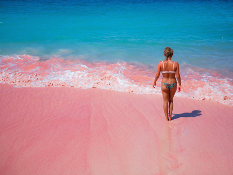 7 most striking pink beaches in the world