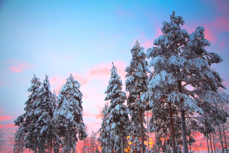 The Finnish Lapland, Santa Clause Village, Northern Lights and the Arctic Circle