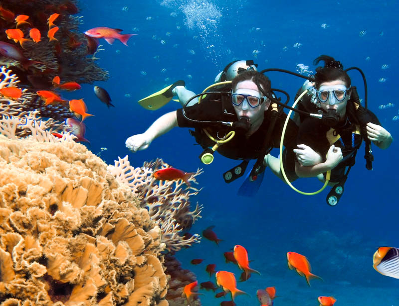 Diving the Red Sea, Jordan 