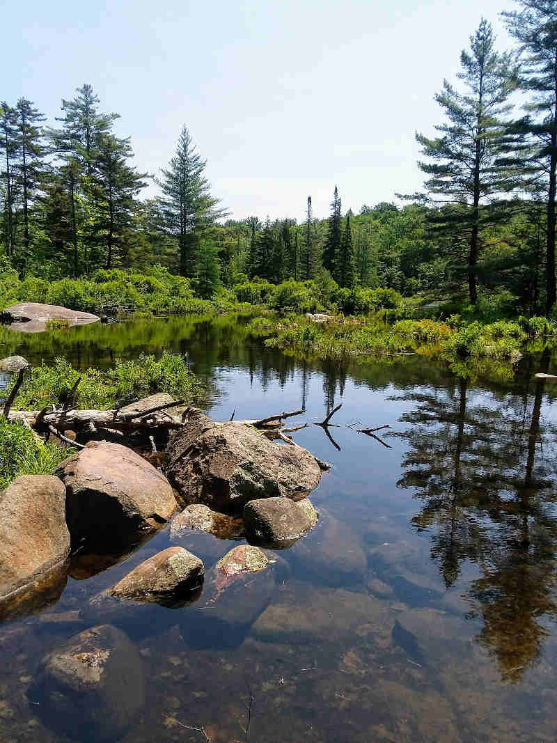 Honeymoon in Adirondacks Mountain