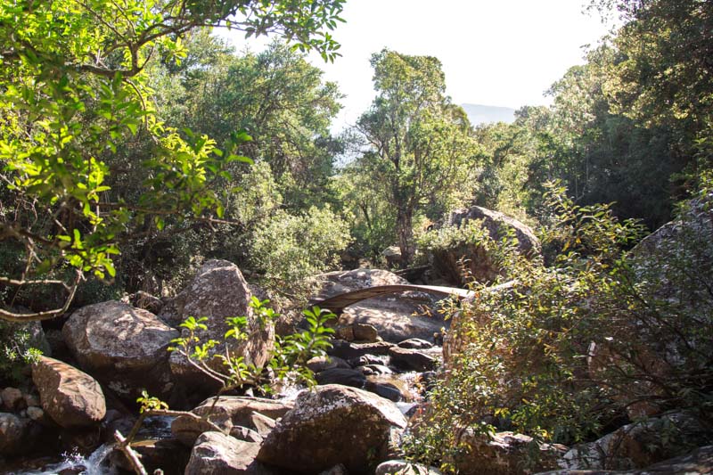 Drakensberg hikes